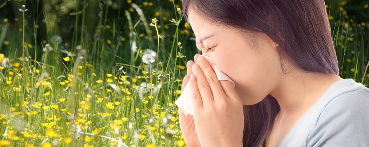 hypnose, allergie saisonnieres, allergie aux chats, chiens, acariens, pollen