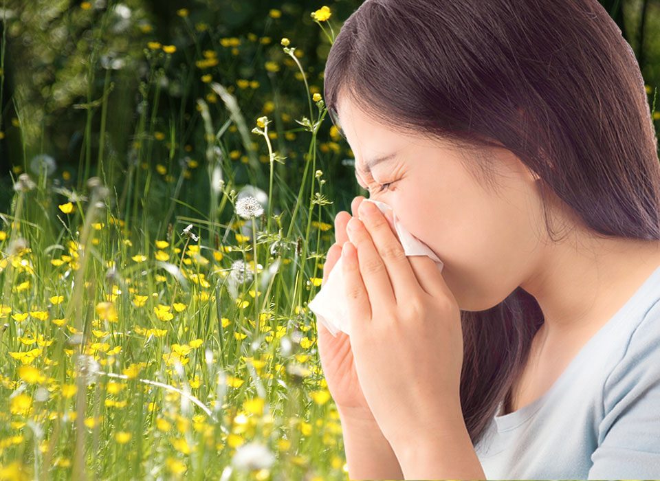 hypnose, allergie saisonnieres, allergie aux chats, chiens, acariens, pollen