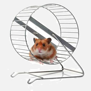 Hamster